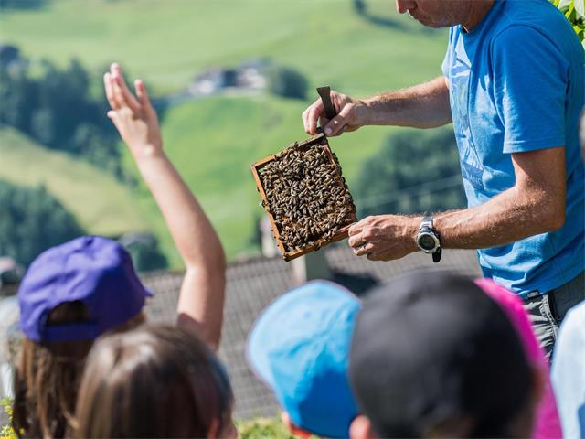 Foto für Kids Active - Fleißige Bienen und tierliebende Pferdeflüsterer Freitag 2024